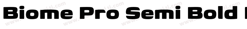 Biome Pro Semi Bold Italic字体转换